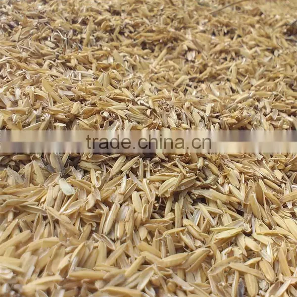 Rice Husk