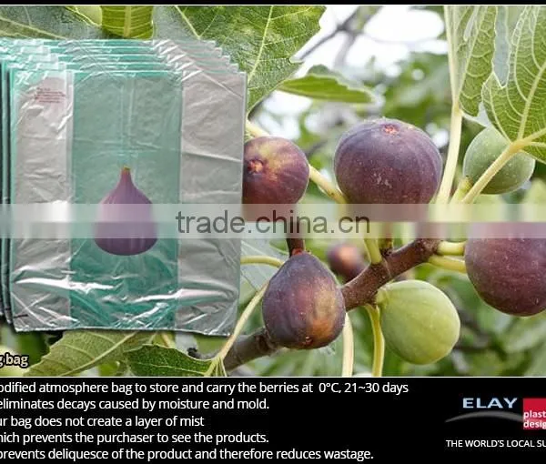 Blueberry Bag photo-3