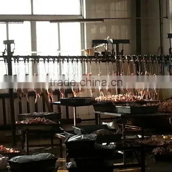 Automatic Poultry Slaughter House 500bph/1000bph/4000bph photo-3