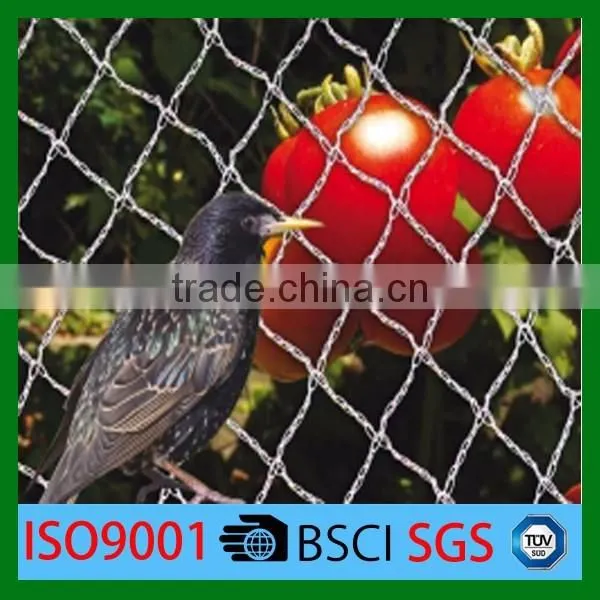 Long Life Quality Guarantee Agricultural Bird Catching Net Mesh Cloth photo-2
