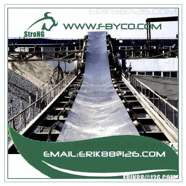 ee Conveyor Belt photo-5