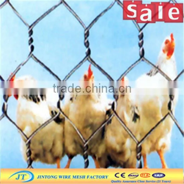 Coop Hexagonal Wire Mesh Dog Hexagonal Wire Mesh 1/2 Inch Chicken Wire Weight of Chicken Wire Mesh photo-6