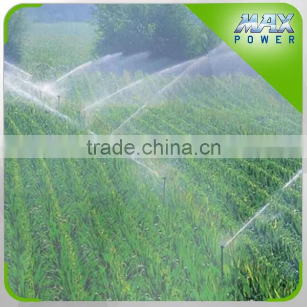 Fog Irrigation System photo-2