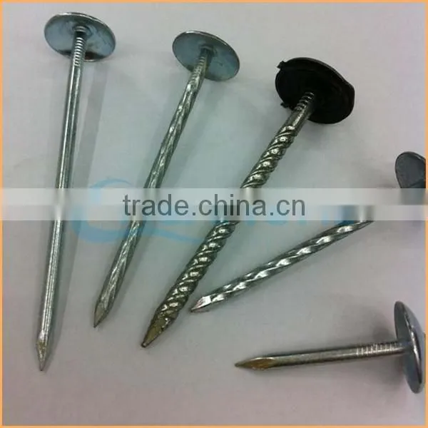 Top Quality Umbrella Head Thread Roofing Nail Trusted Chuanghe Suppliers From Com photo-6