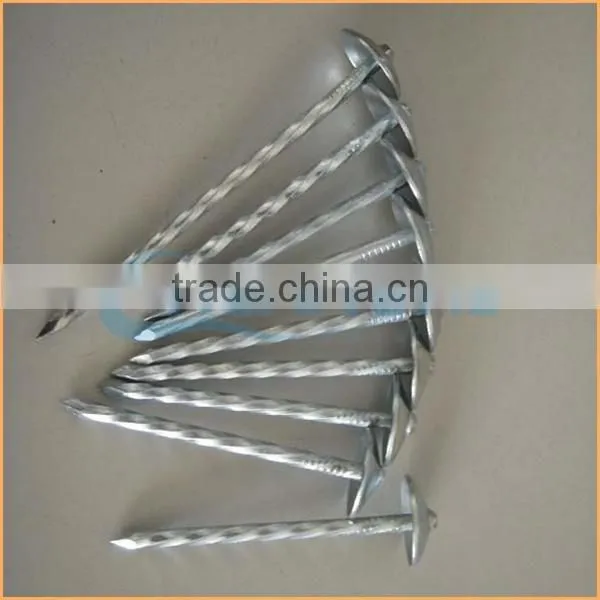 Top Quality Annular Roofing Nails Trusted Chuanghe Suppliers From Com photo-5