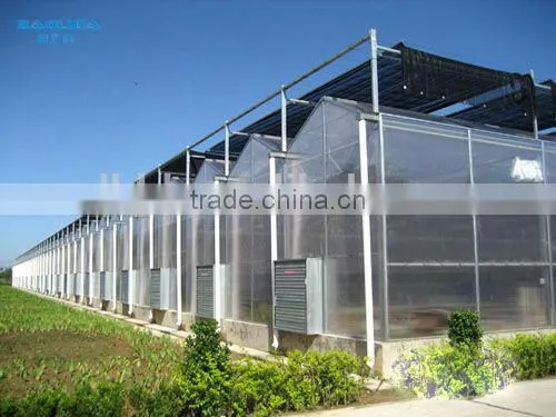 BaoLiDa Agriculture Used Greenhouse photo-2