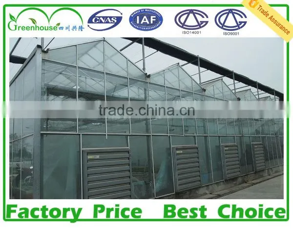 China Supplier Galvanized Round Steel Pipe For Greenhouse Frame photo-6