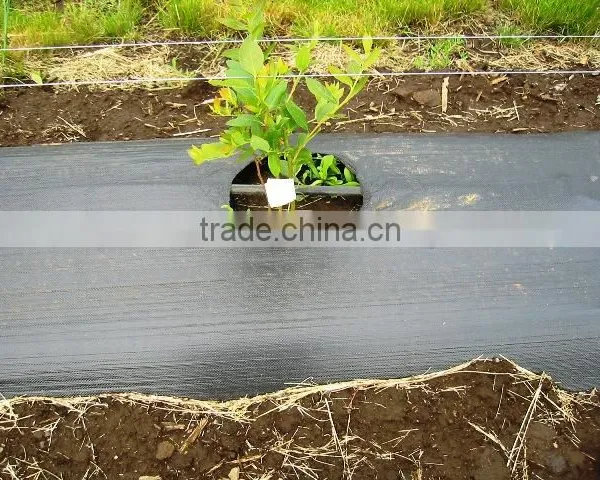 Pp/pe Woven Mesh Tree Weed Mat photo-3