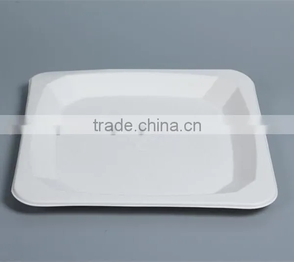 Disposable Compostable 10 Inch Food Trays Square Plates P037 photo-4