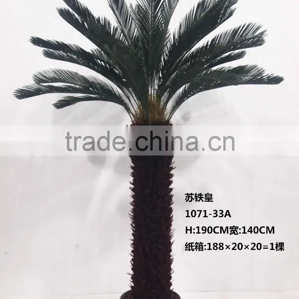 1071-32 Plastic Pot Cycads Tree photo-2
