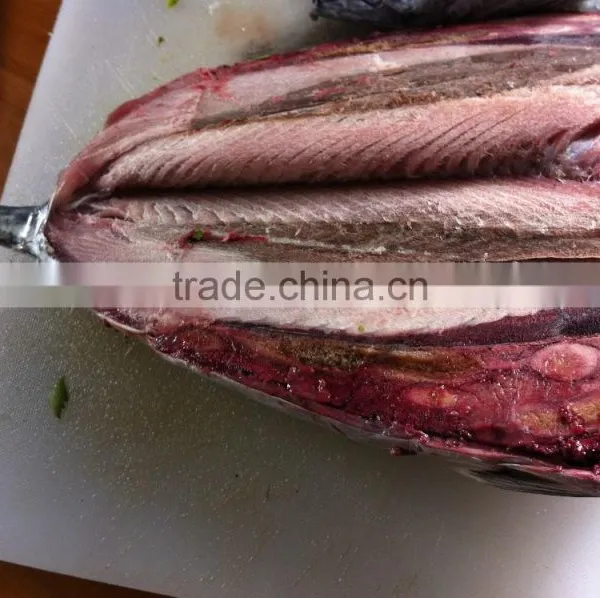 Frozen Eastern Pacific Bonito Whole Round- Auxis Tapeionsoma photo-2