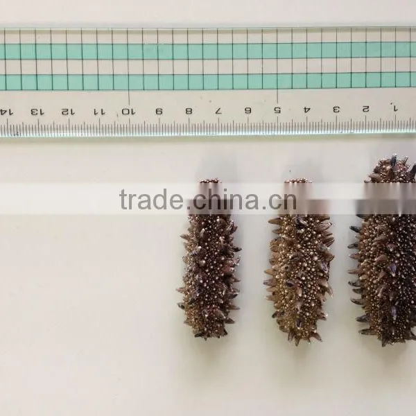 Dried Sea Cucumber Supplier , Chinese Foods , Paid Sample Also Available