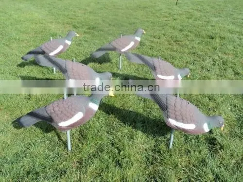 PIGEON DECOY BIRD PAINTED SHELL HIGH QUALITY photo-2