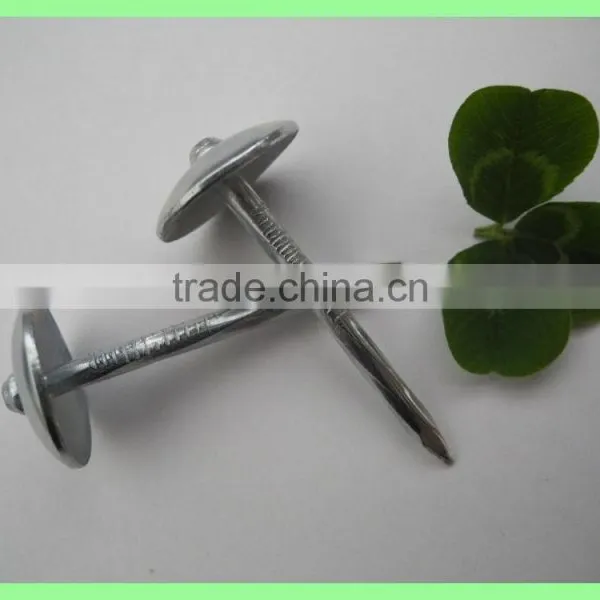 Hot Sale Umbrella Roofing Nails Supplies photo-6