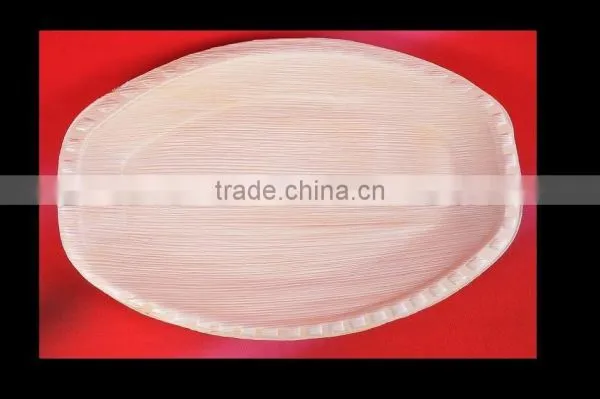 ARECA DISPOSABLE PLATES photo-4