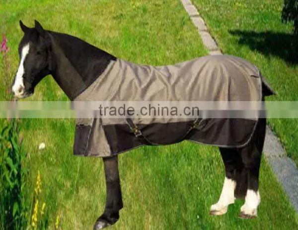 Horse Rugs