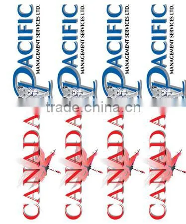 Top Good Elastic & Good Washing Label Transfer for Clothings/ Label Transfer photo-2