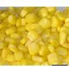 Sell Sweet Corn