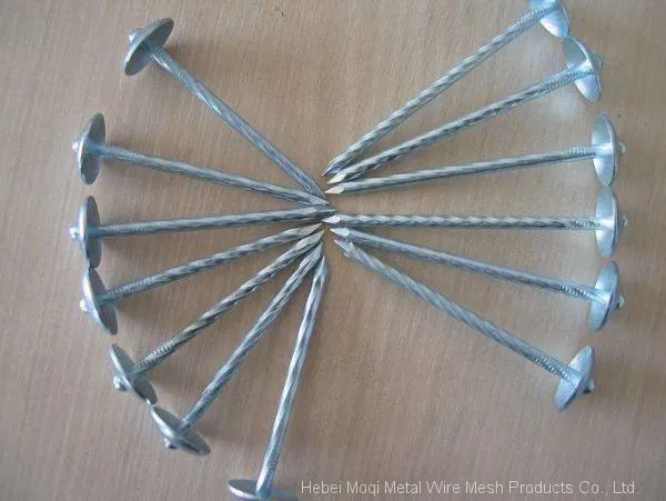 Smooth Shank Galvanized Umbrella Roofing Nail/common Nail/nail Making Machine photo-4