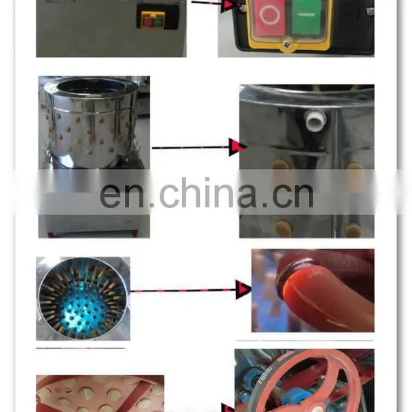 TM-40 Poultry Plucker/chicken Duck Goose Feather Plucking Machine for Sale photo-5