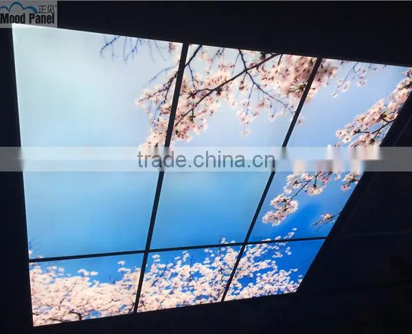 2015 Japanese Style Sakura Sky Ceiling Panel photo-5