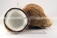 Fresh Semi and Matured Husked Coconut