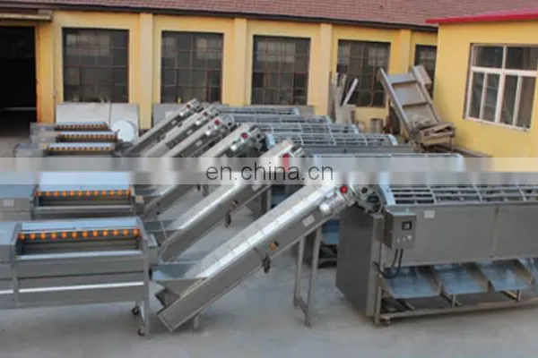 Vegetable and Fruit Avocado Garlic Tomato Pomelo Pomegranate Cherry Washing Grading Sorting Machine photo-4