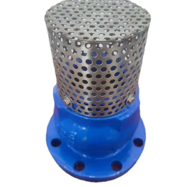 DIN Pn16 JIS 10K Ductile Iron Foot Valve 150lb Foot Valve With SS304 Mesh GG25 Foot Valve for Water Pipelines photo-6