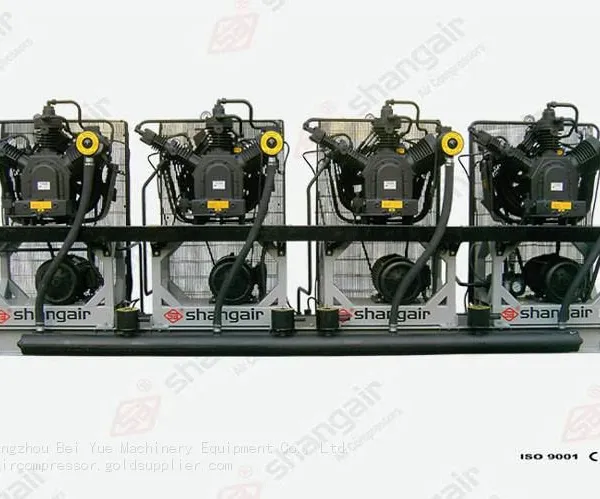 High Pressure Air Compressor is Used for Blowing Beverage Bottles.3/4/5m3/min20bar/30bar/40barHigh Pressure Air Compressor. photo-5