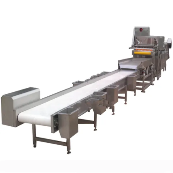 Fruit Canning Machines for Pineapple Mango photo-2