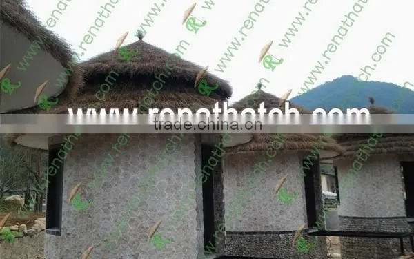 Cheap Plastic Palapa Roof photo-2