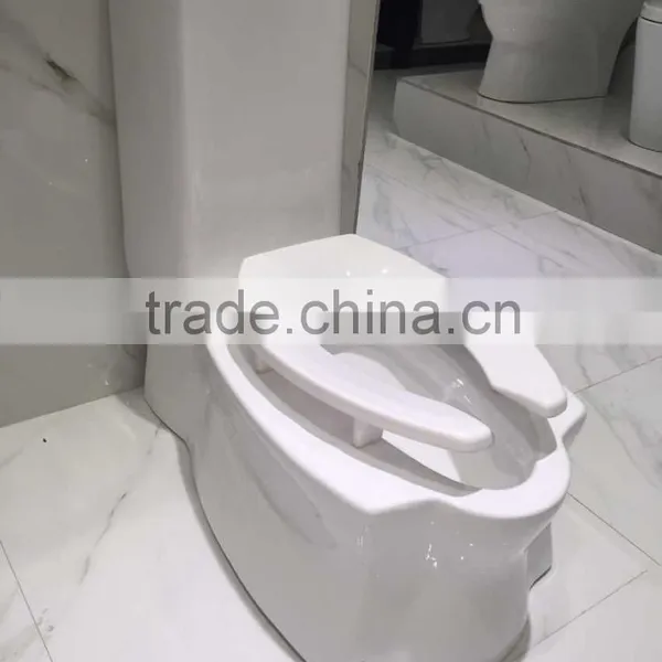 YL1025 Popular Design Double Use Siphonic One Piece Toilet photo-5