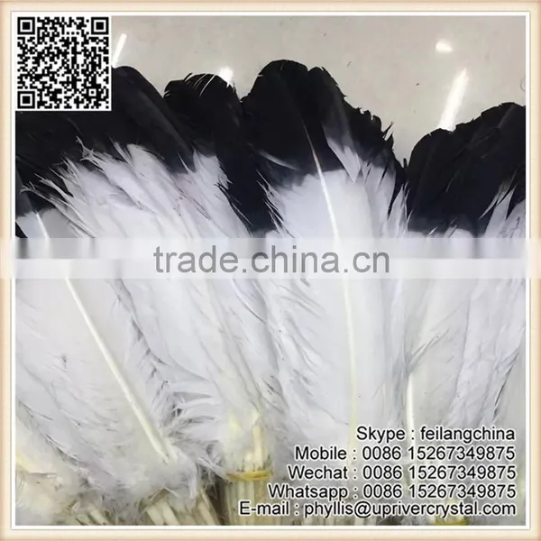 Wholesale Imitation Eagle Feather Top Quality Best White Turkey Black Tip Feather photo-3