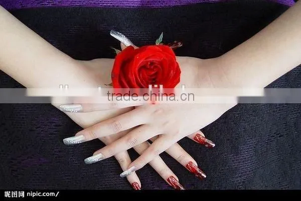 Nail Use Honey Girl Private Label Nail Polish Manufacturers Water Based Peel off Nail Polish Nail Arts Makeup