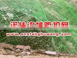 Diamond Slope Protection Ring Network System
