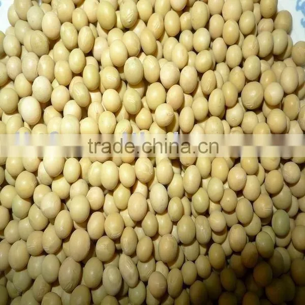Non-Gmo Yellow Soybeans/soya Bean