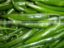 Fresh Egypt Hot Pepper