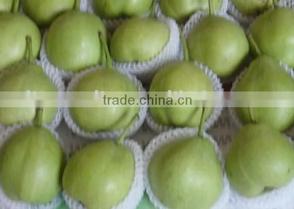 su Pear