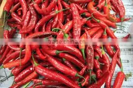 Red Chilli