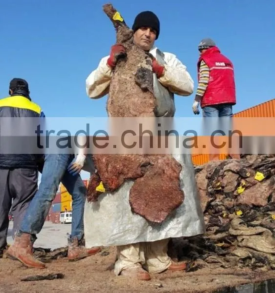 WET SALTED COW HEAD SKIN photo-5