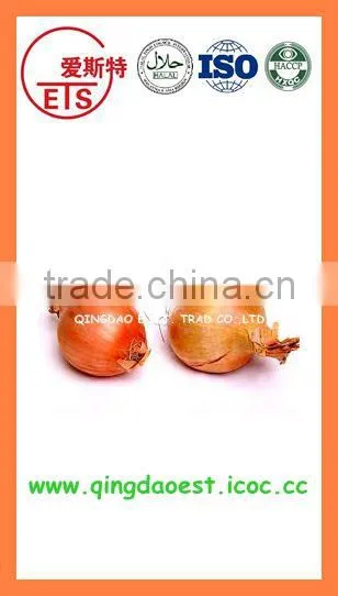 Best Quality Fresh Yellow Onion PRODUCTS From China With High Quality photo-2