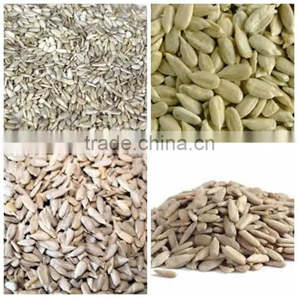Sunflower Kernels From Factory Sunflower Seeds Manufacturer From China photo-4