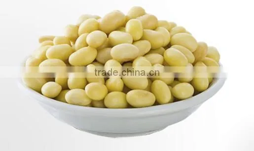 Manufacturer Supply Soybean Lecithin Powder photo-4