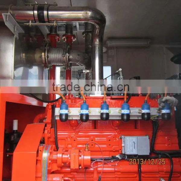 Camda Good Quality Biogas Generator With CE Certificate photo-4