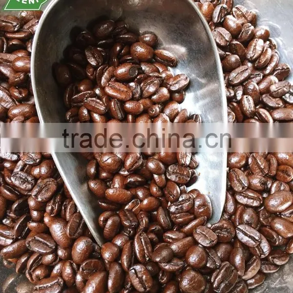 ATHENA 100% Robusta Culi With Fairtrade Certification photo-2