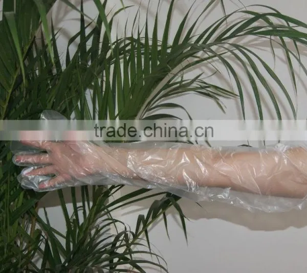 Shoulder Length Veterinary Glove photo-2