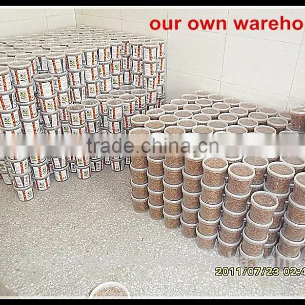 Origanic Fish Food Microwave Dried Mealworm; Dried Tenebrio Molitor For Fish Food photo-3