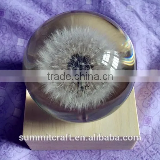 Custom Real Dandelion Paperweight Gift photo-5
