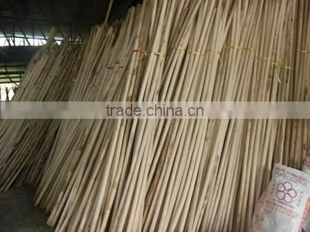Raw Rattan Cane, Rattan, Cane, Rattan Meterial, Raw Material, Rattah Raw Mateiral, Rattan Cane photo-6