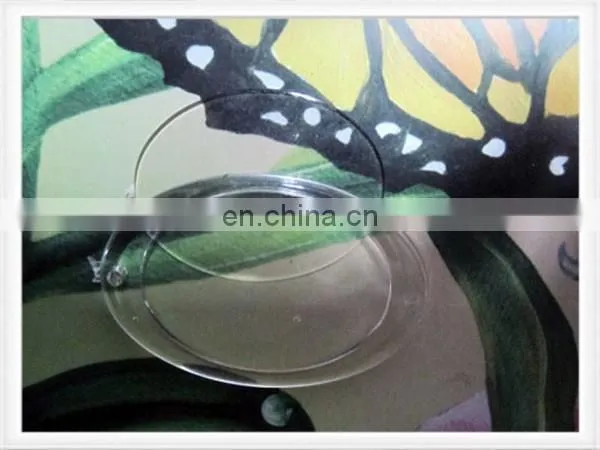 Flabellum Shape With Personally Design Card Inserted Acrylic Keychain photo-3